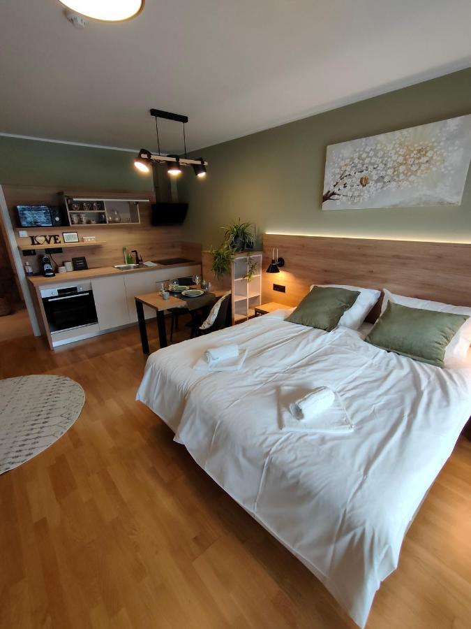Bed & Breakfast Rezidenca Pipanova Lublaň Exteriér fotografie
