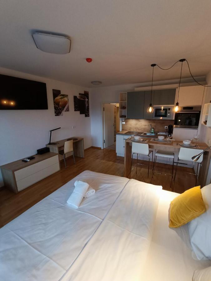 Bed & Breakfast Rezidenca Pipanova Lublaň Exteriér fotografie